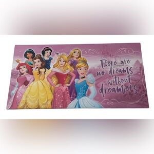 Disney Princess Dreamers 24x12 wall printed painting